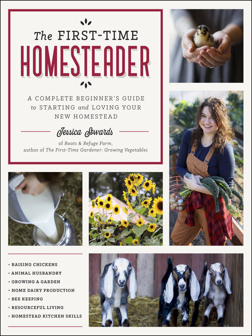 Title details for The First-Time Homesteader by Jessica Sowards - Wait list